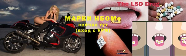 стаф Абинск