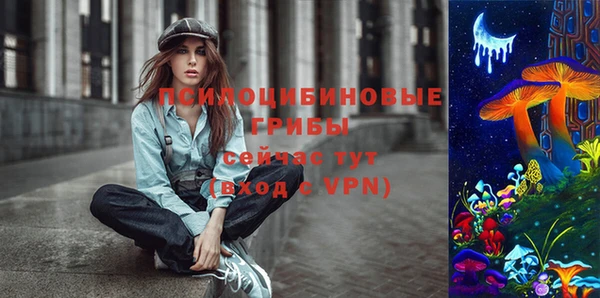 стаф Абинск