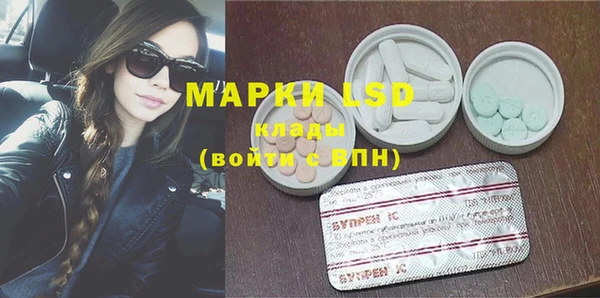 стаф Абинск